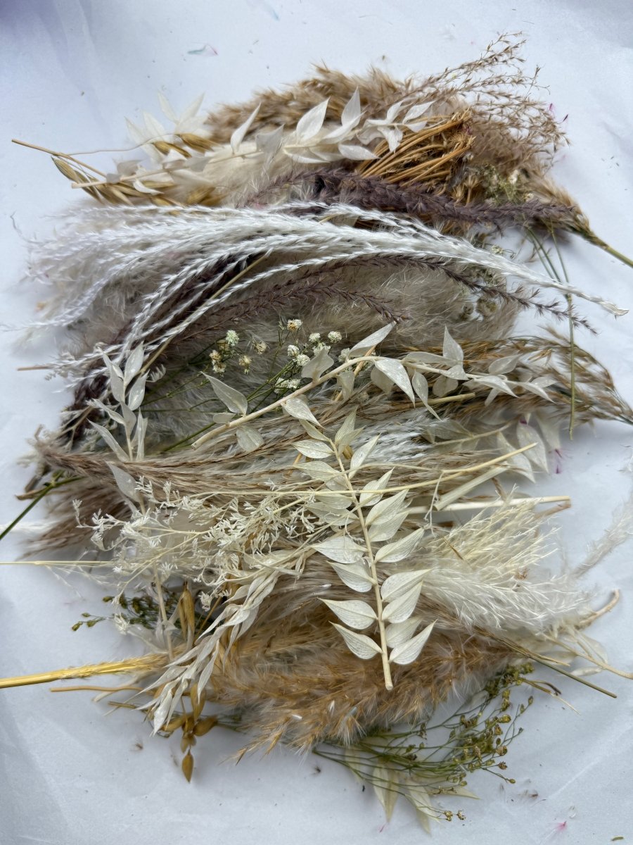 Offcut Dried Flowers - Pampas Tallo