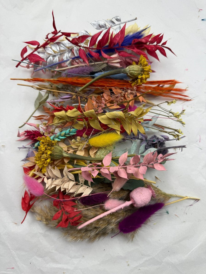 Offcut Dried Flowers - Pampas Tallo