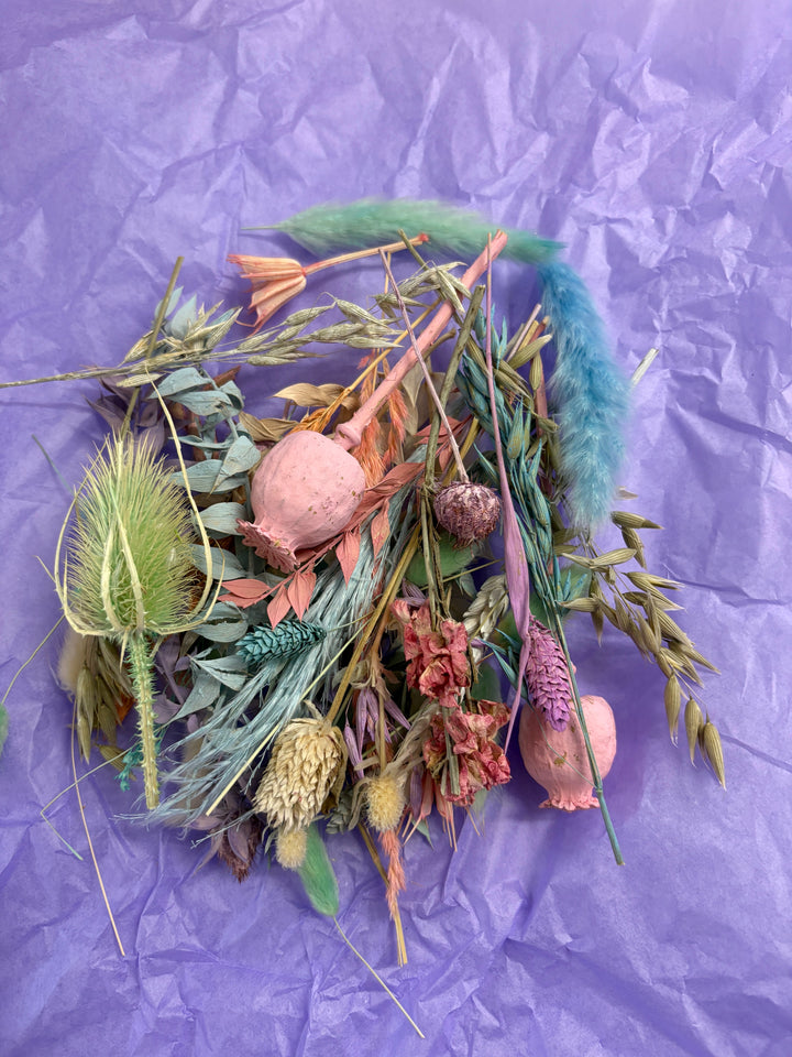 Offcut Dried Flowers - Pampas Tallo