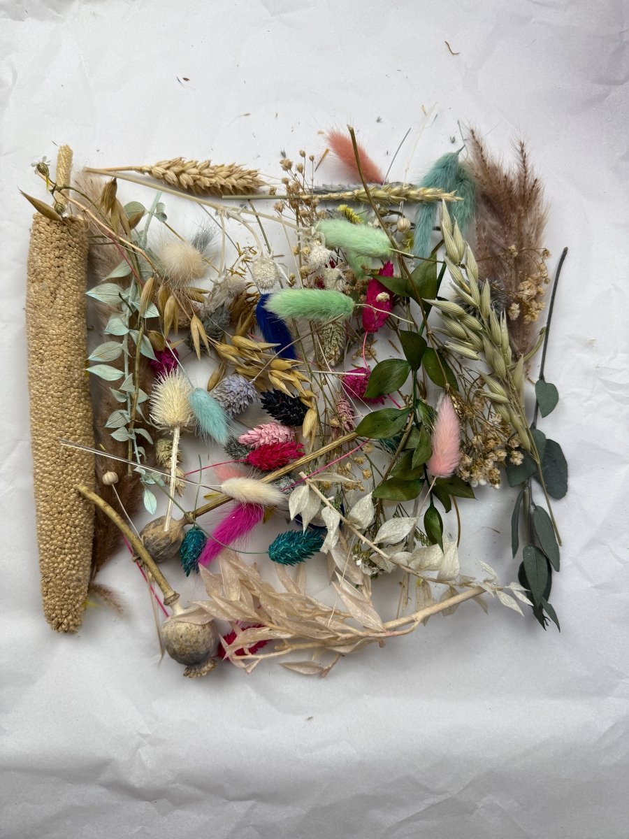 Offcut Dried Flowers - Pampas Tallo