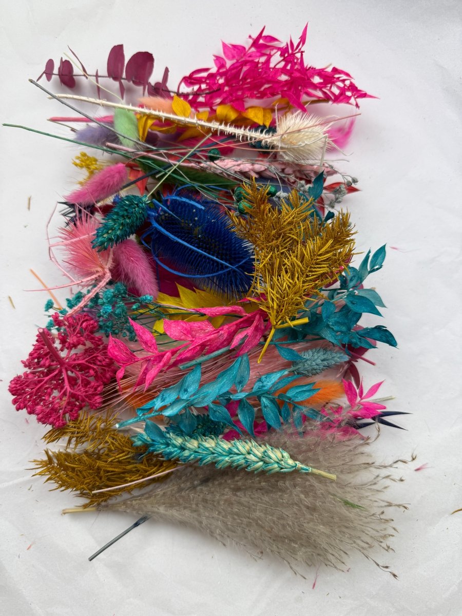 Offcut Dried Flowers - Pampas Tallo