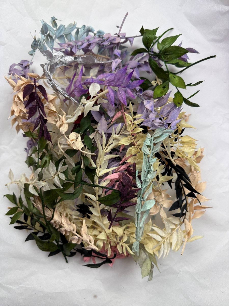 Offcut Dried Flowers - Pampas Tallo
