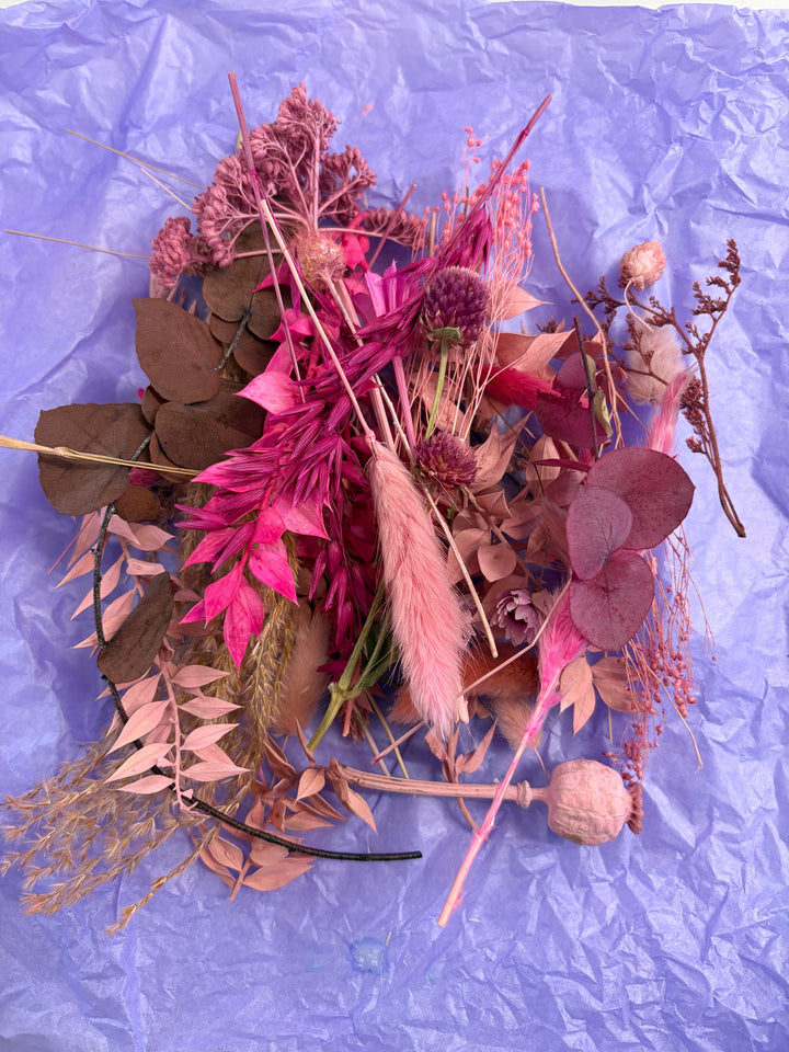 Offcut Dried Flowers - Pampas Tallo