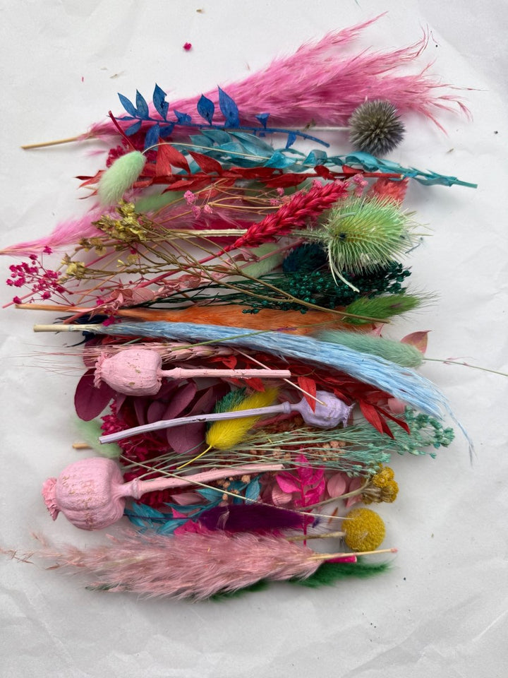 Offcut Dried Flowers - Pampas Tallo