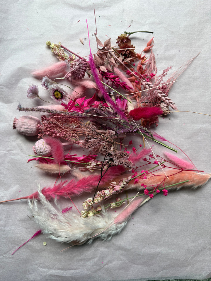Offcut Dried Flowers - Pampas Tallo