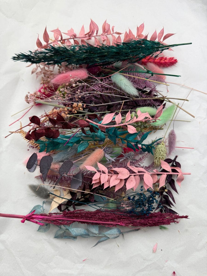 Offcut Dried Flowers - Pampas Tallo