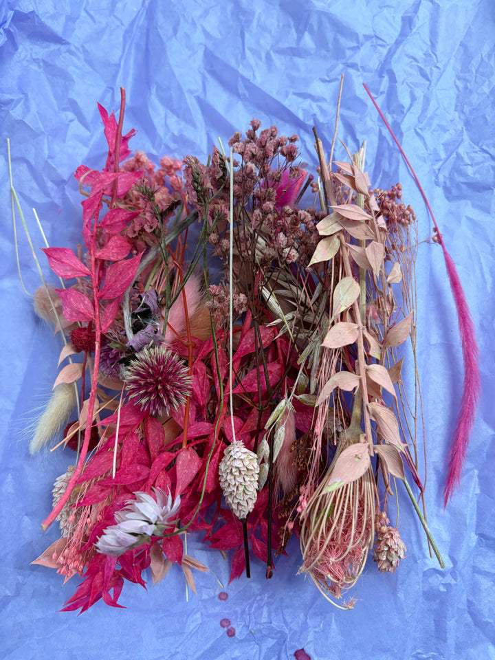 Offcut Dried Flowers - Pampas Tallo