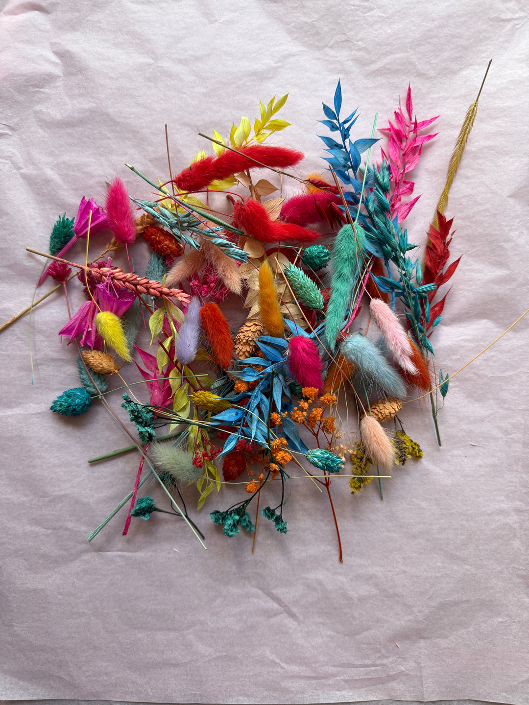 Offcut Dried Flowers - Pampas Tallo