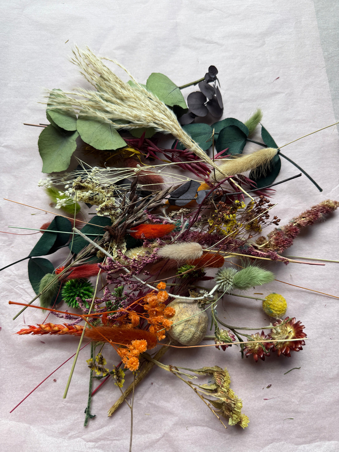 Offcut Dried Flowers - Pampas Tallo