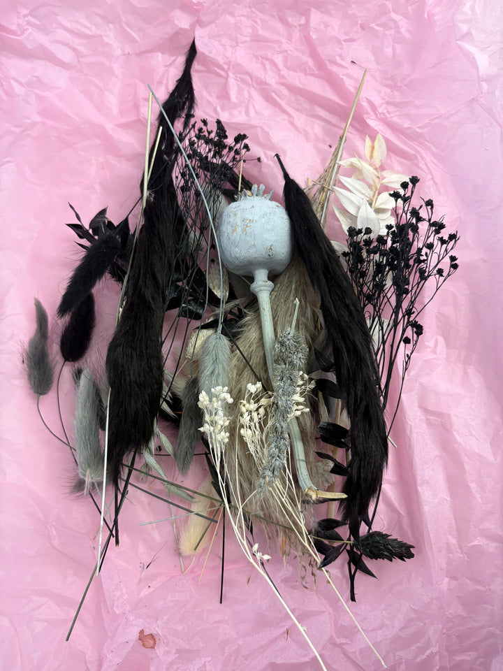 Offcut Dried Flowers - Pampas Tallo