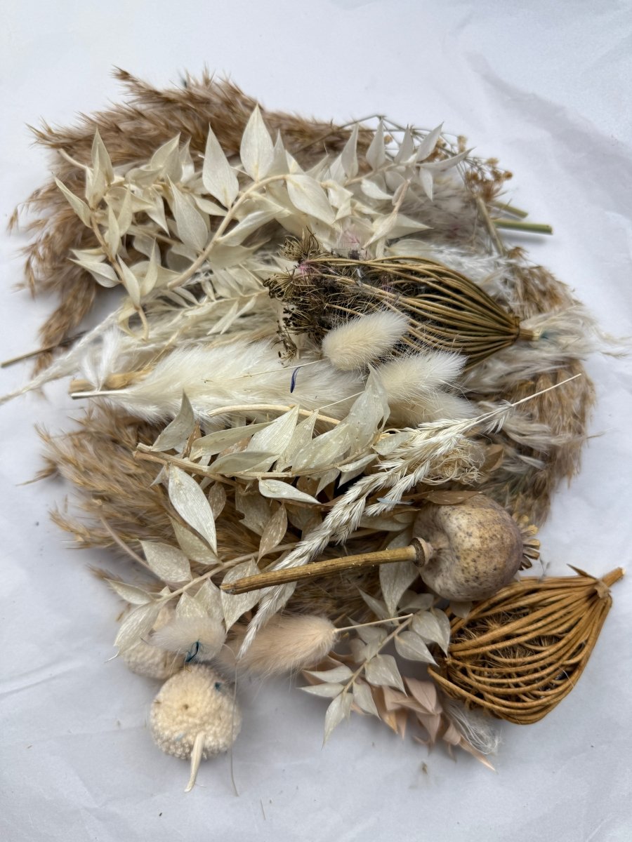 Offcut Dried Flowers - Pampas Tallo