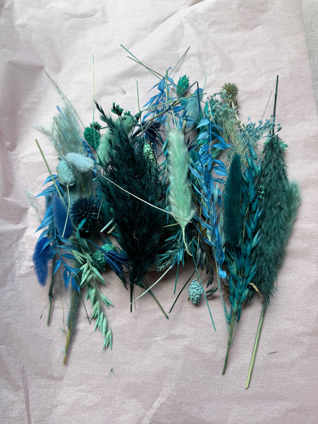 Offcut Dried Flowers - Pampas Tallo