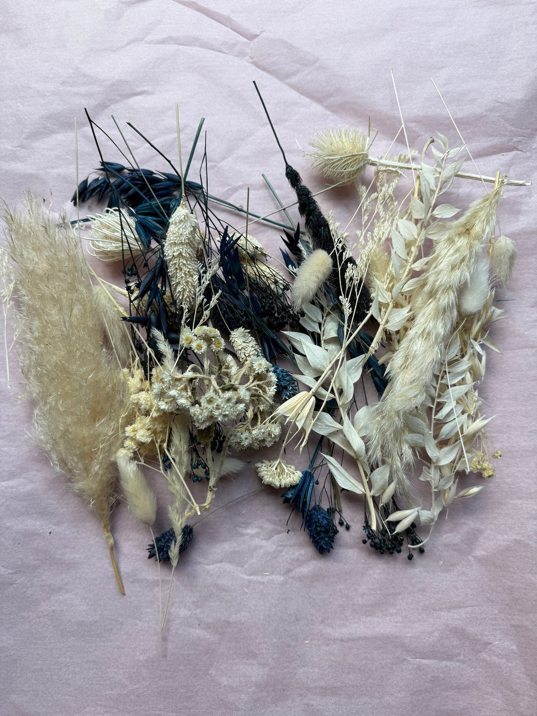 Offcut Dried Flowers - Pampas Tallo