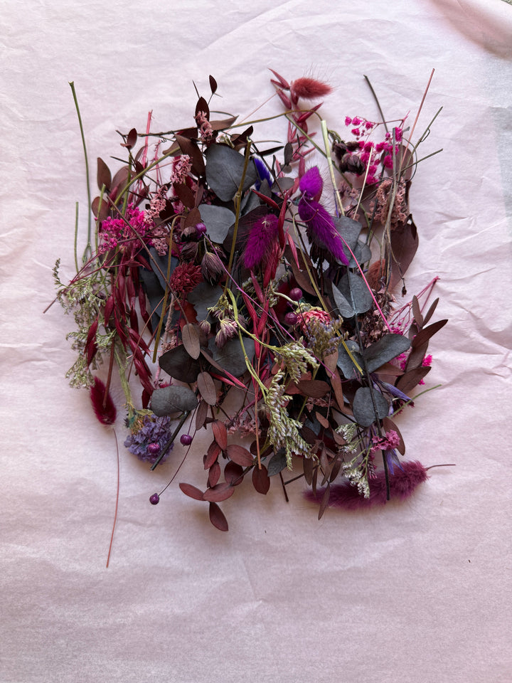 Offcut Dried Flowers - Pampas Tallo
