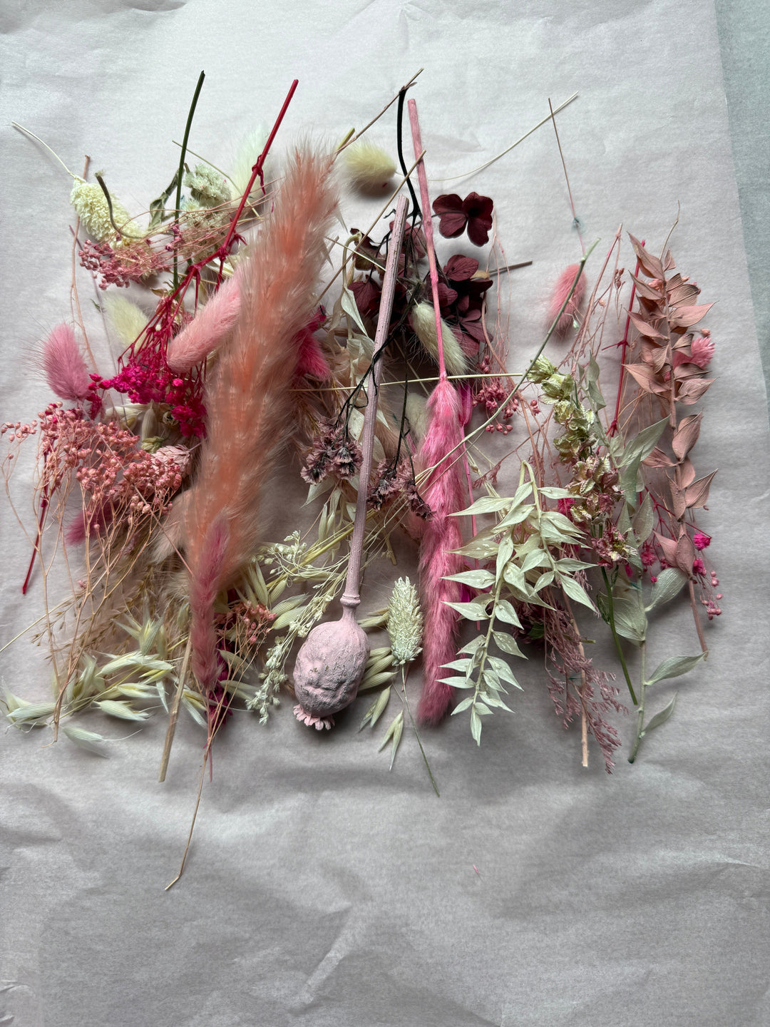 Offcut Dried Flowers - Pampas Tallo