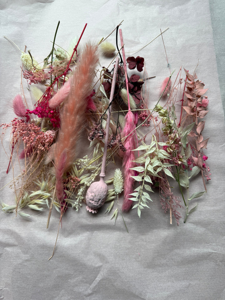 Offcut Dried Flowers - Pampas Tallo
