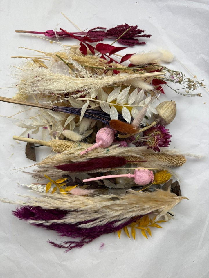 Offcut Dried Flowers - Pampas Tallo