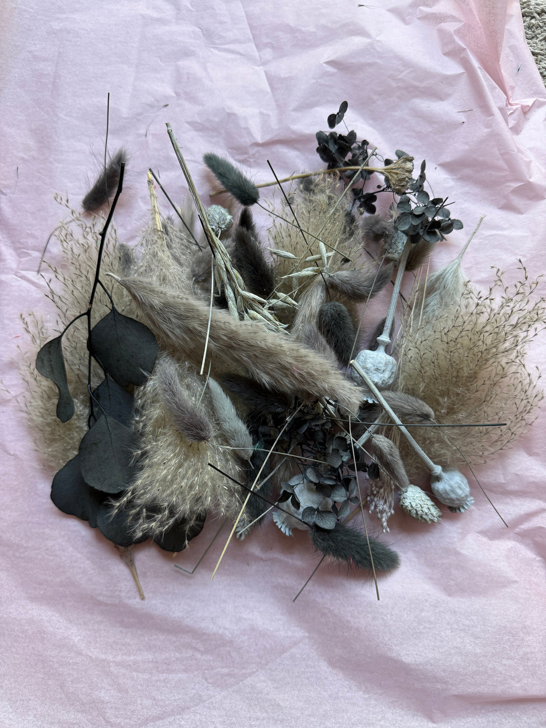 Offcut Dried Flowers - Pampas Tallo