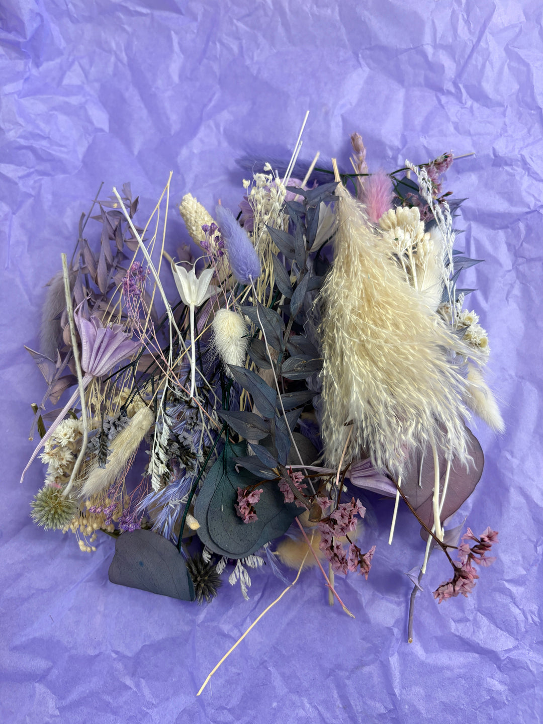 Offcut Dried Flowers - Pampas Tallo