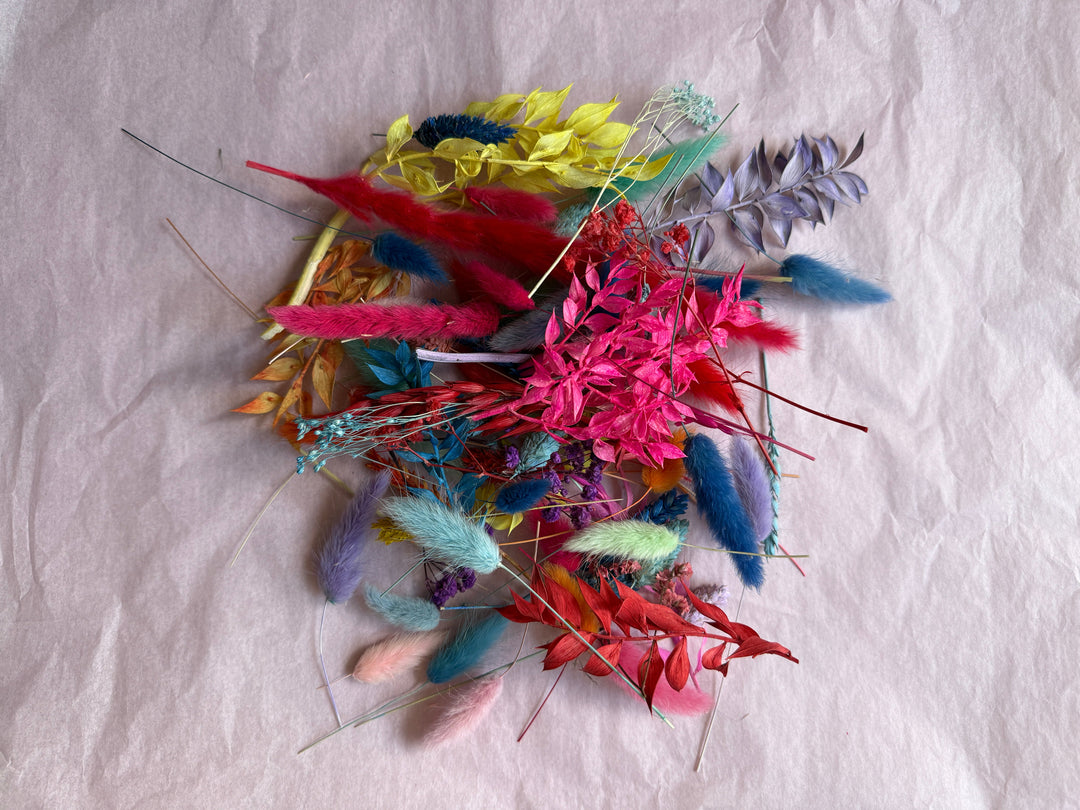 Offcut Dried Flowers - Pampas Tallo