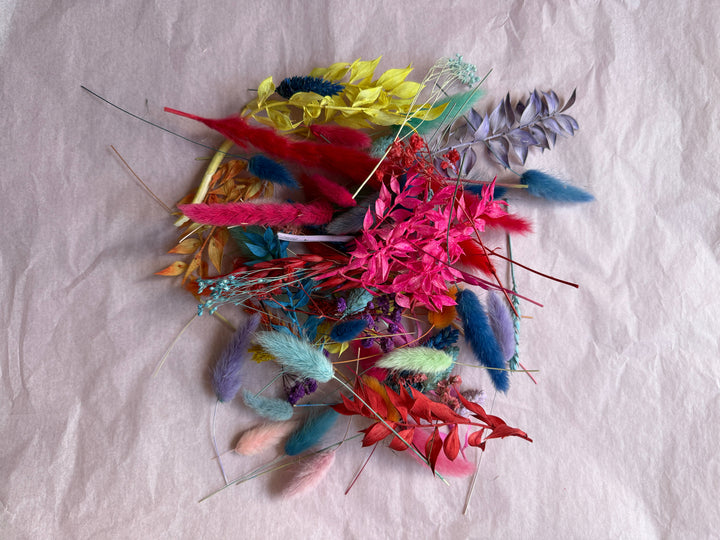 Offcut Dried Flowers - Pampas Tallo