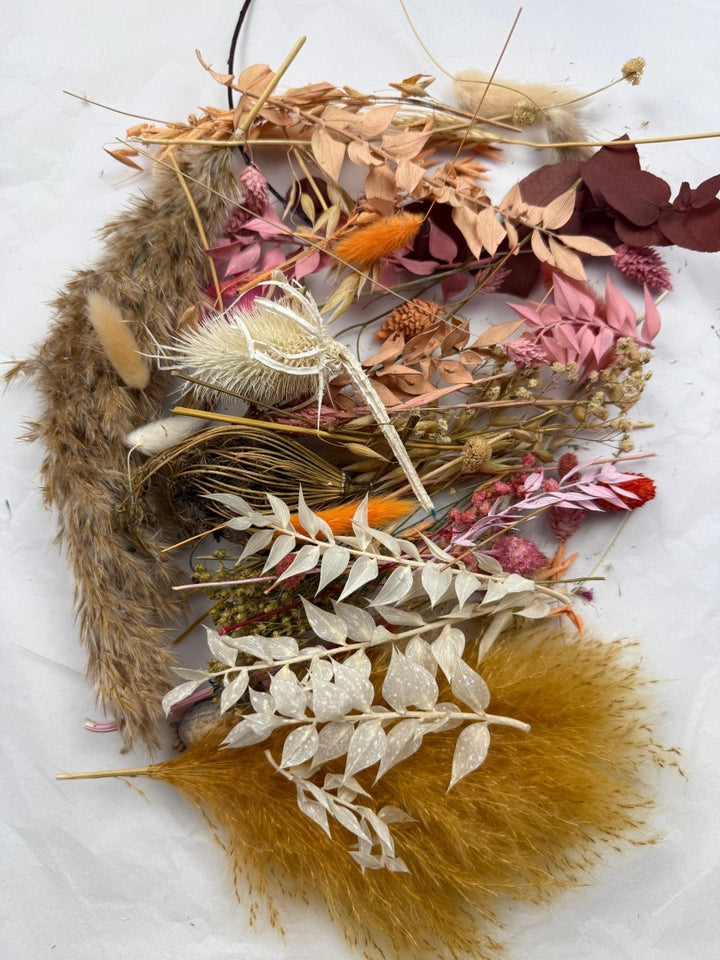 Offcut Dried Flowers - Pampas Tallo