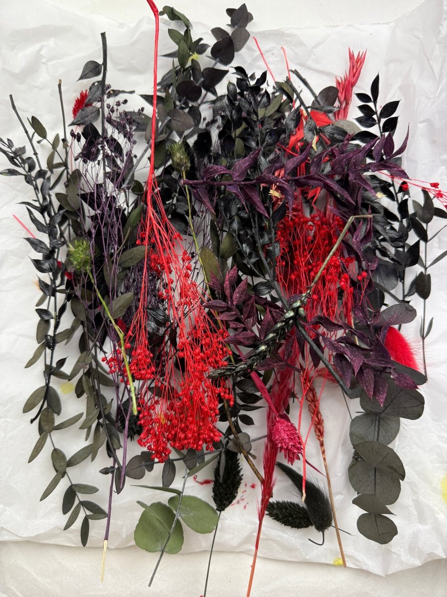 Offcut Dried Flowers - Pampas Tallo