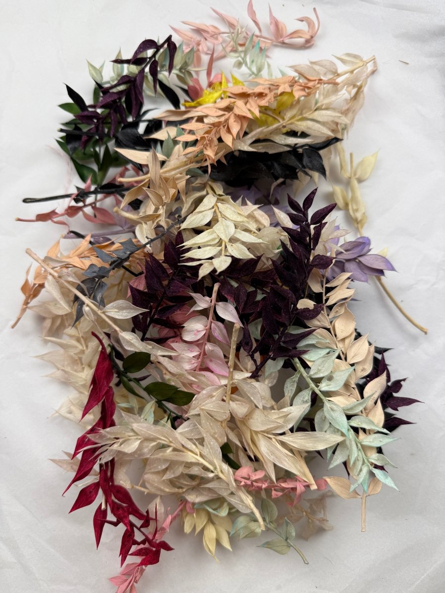 Offcut Dried Flowers - Pampas Tallo