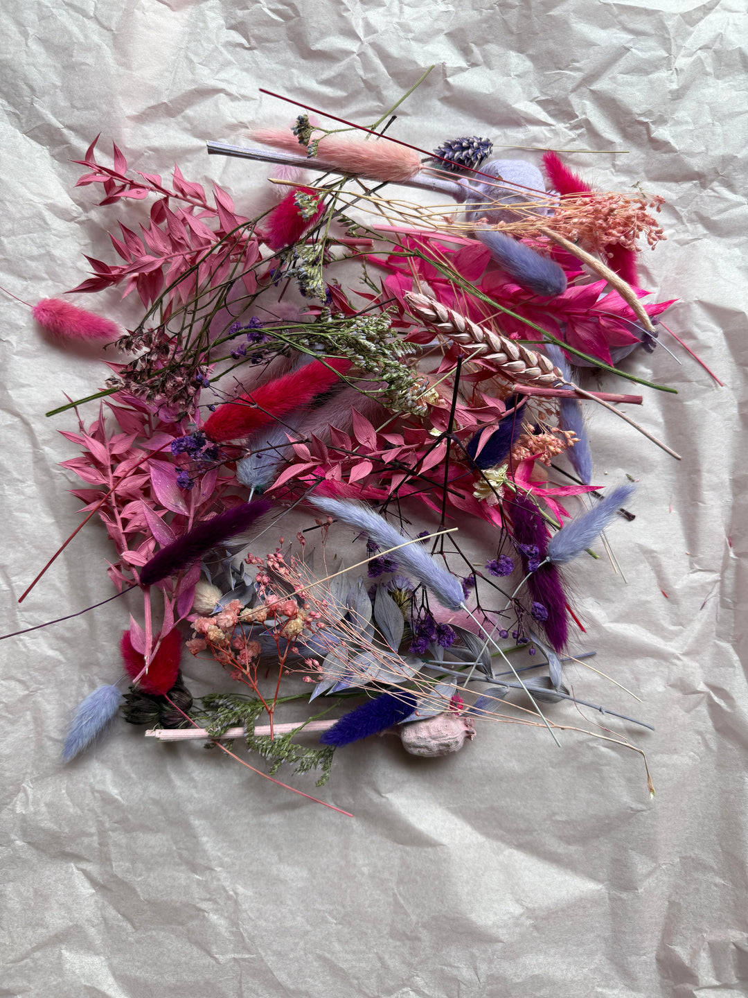 Offcut Dried Flowers - Pampas Tallo