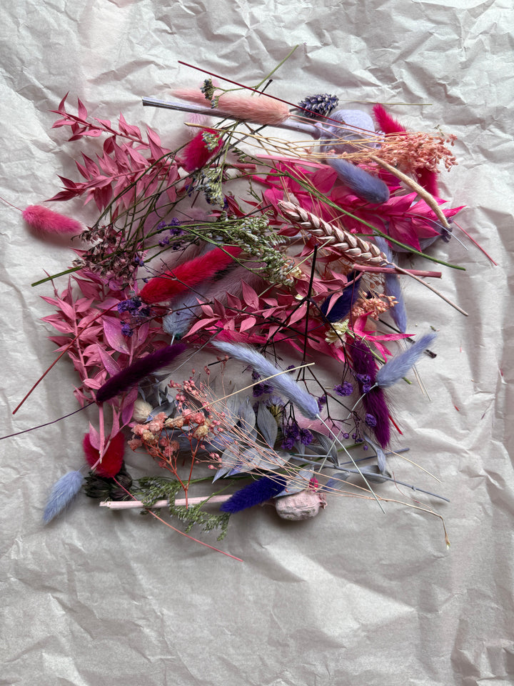 Offcut Dried Flowers - Pampas Tallo