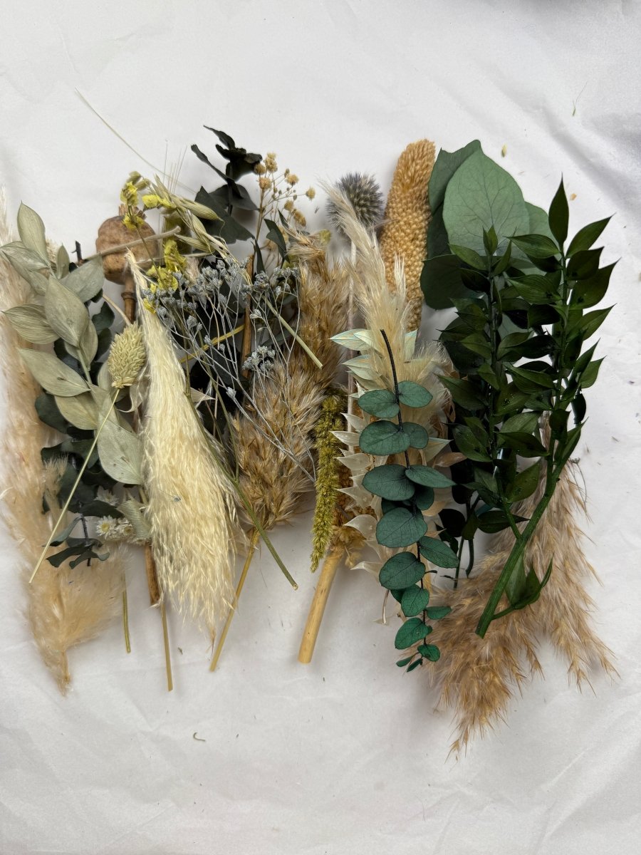 Offcut Dried Flowers - Pampas Tallo