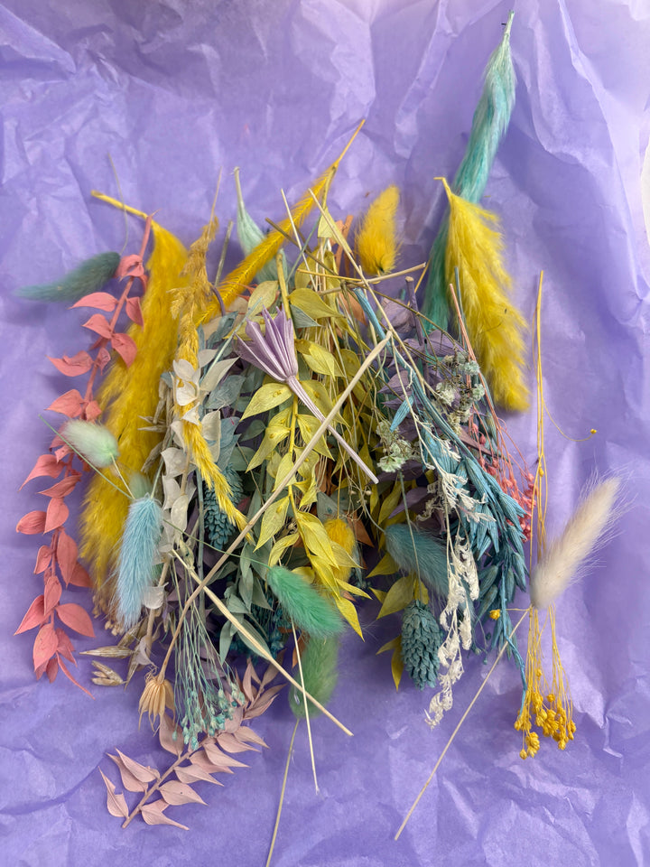 Offcut Dried Flowers - Pampas Tallo