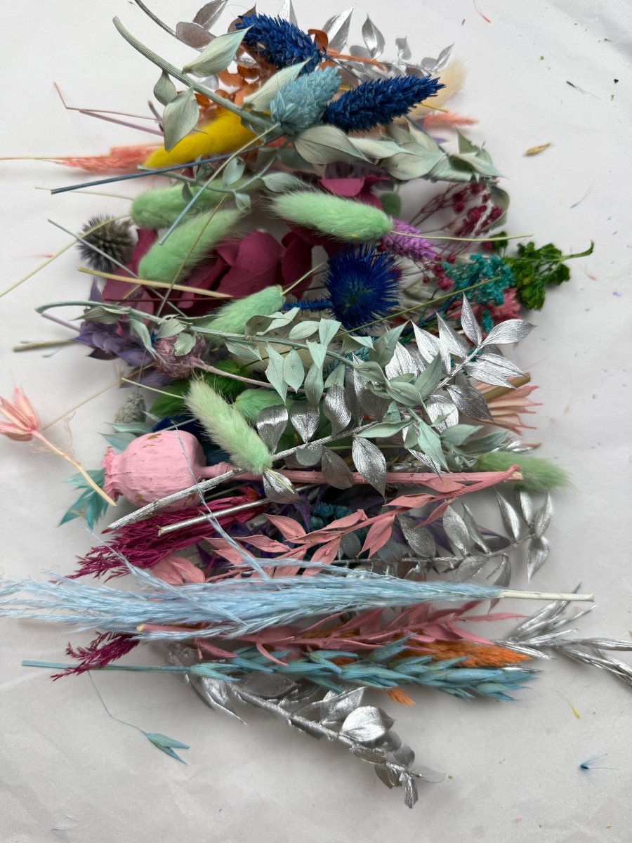 Offcut Dried Flowers - Pampas Tallo