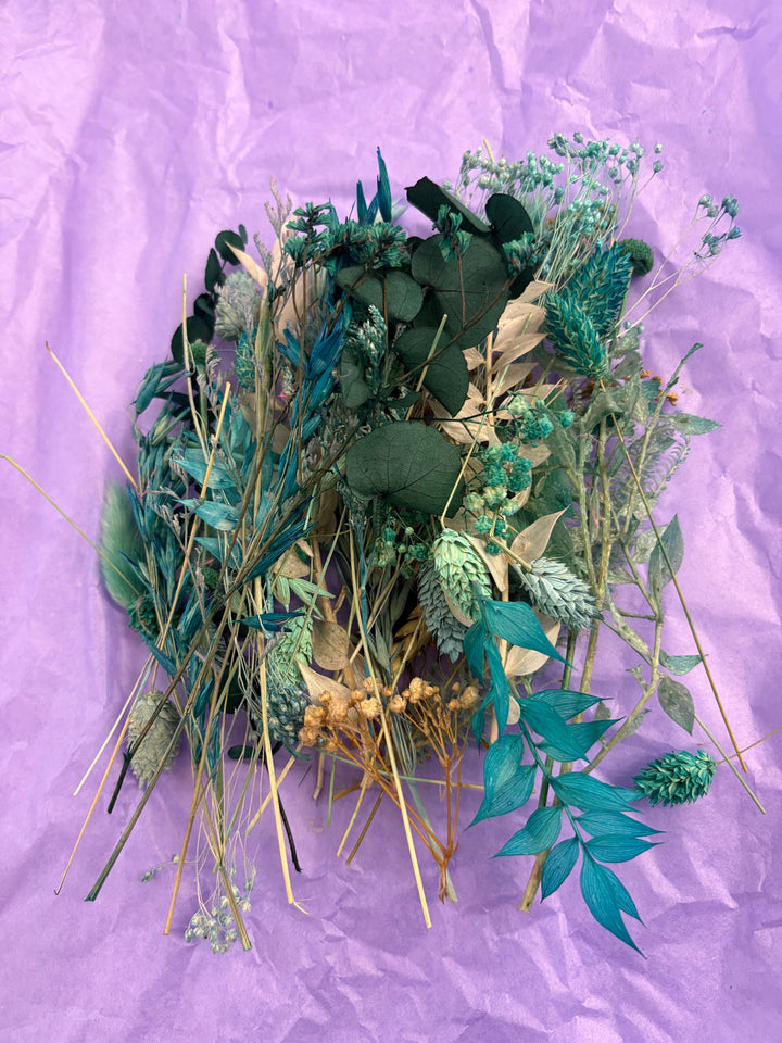 Offcut Dried Flowers - Pampas Tallo
