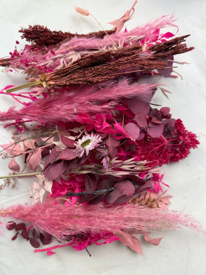 Offcut Dried Flowers - Pampas Tallo