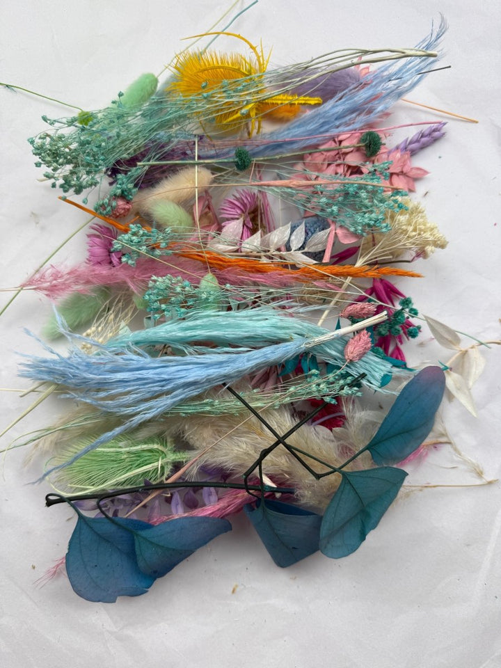 Offcut Dried Flowers - Pampas Tallo