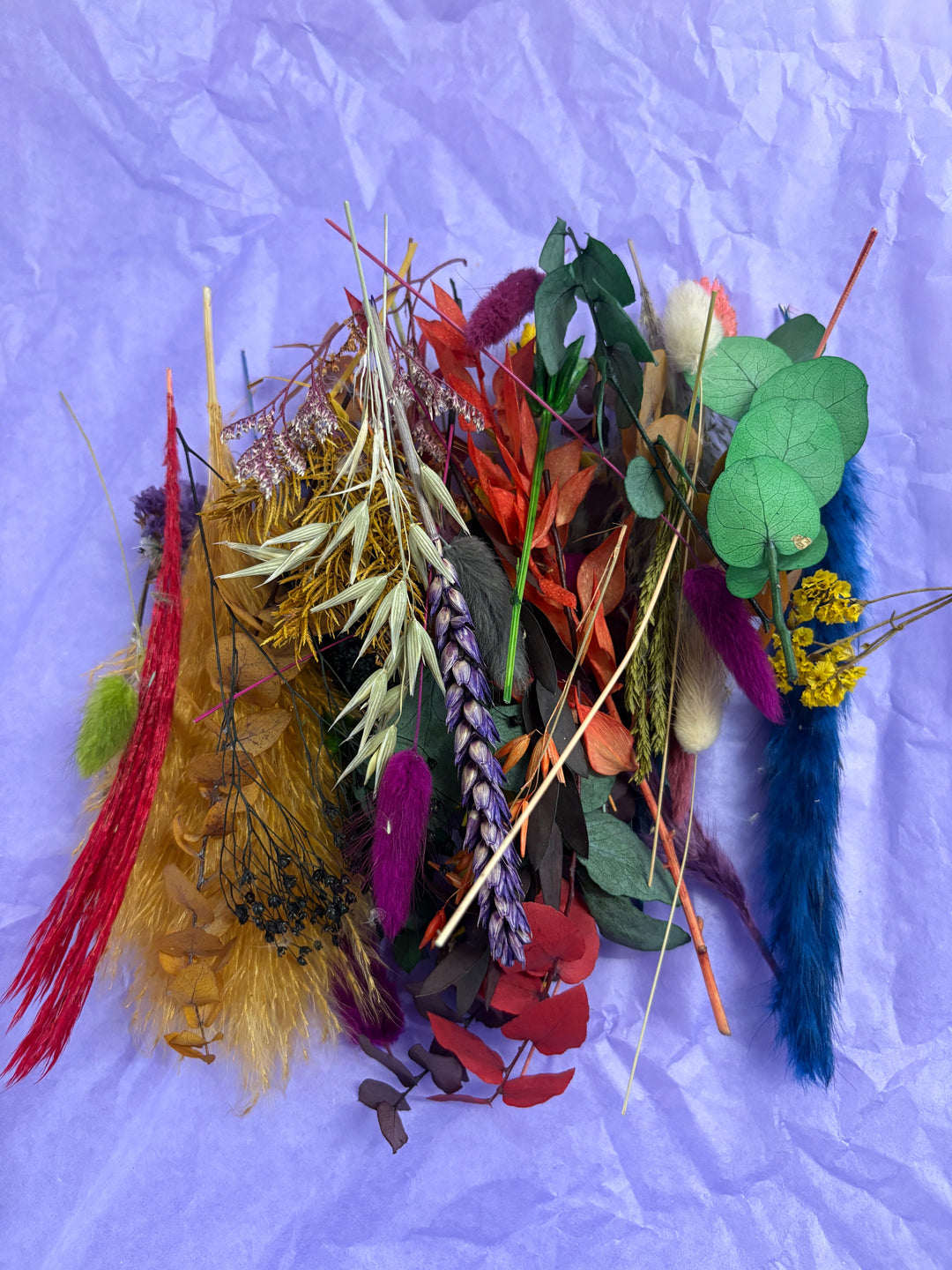 Offcut Dried Flowers - Pampas Tallo