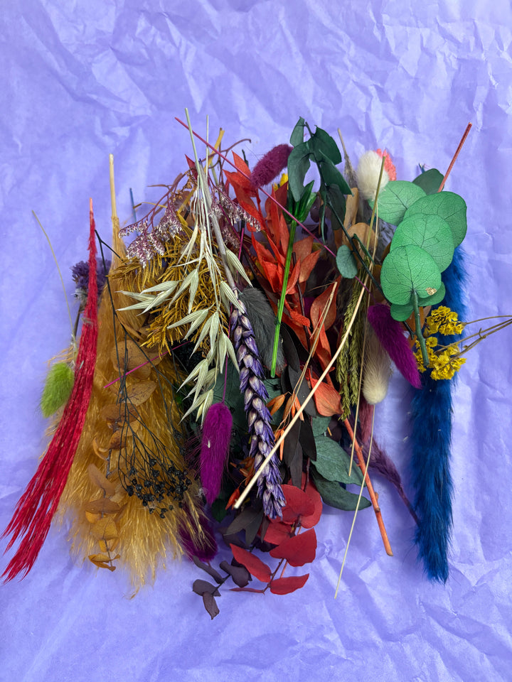 Offcut Dried Flowers - Pampas Tallo