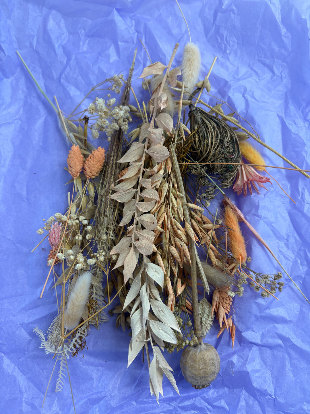 Offcut Dried Flowers - Pampas Tallo
