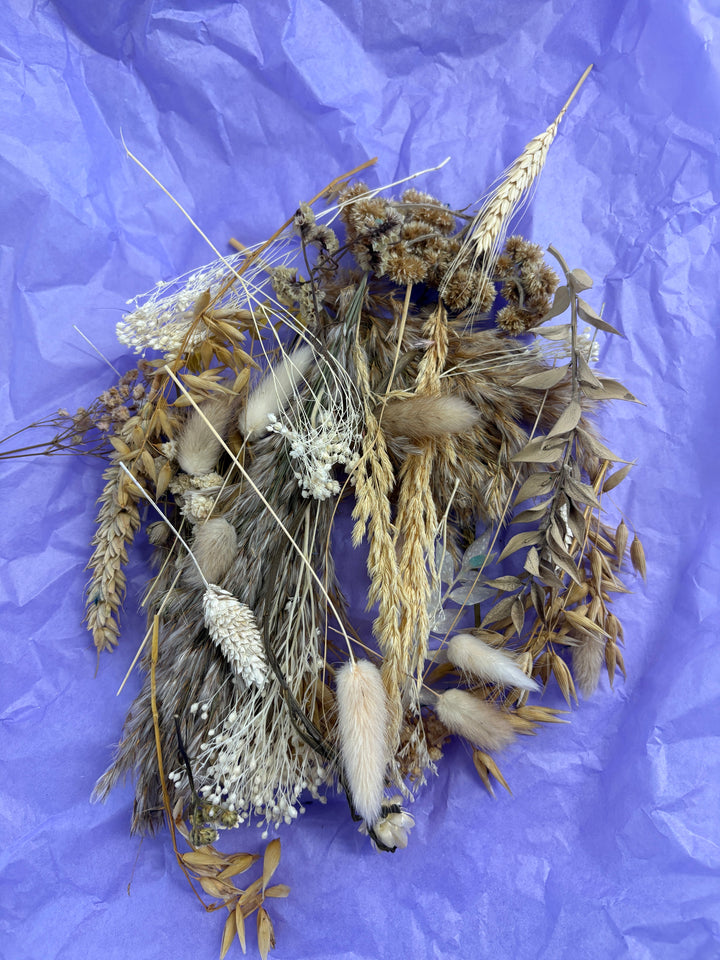 Offcut Dried Flowers - Pampas Tallo