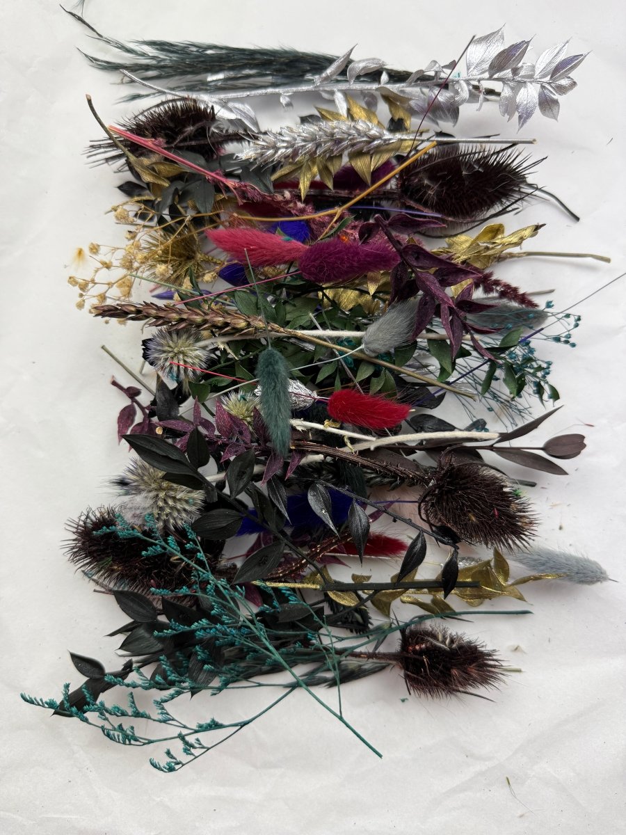 Offcut Dried Flowers - Pampas Tallo