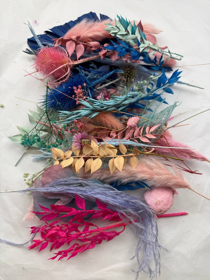 Offcut Dried Flowers - Pampas Tallo