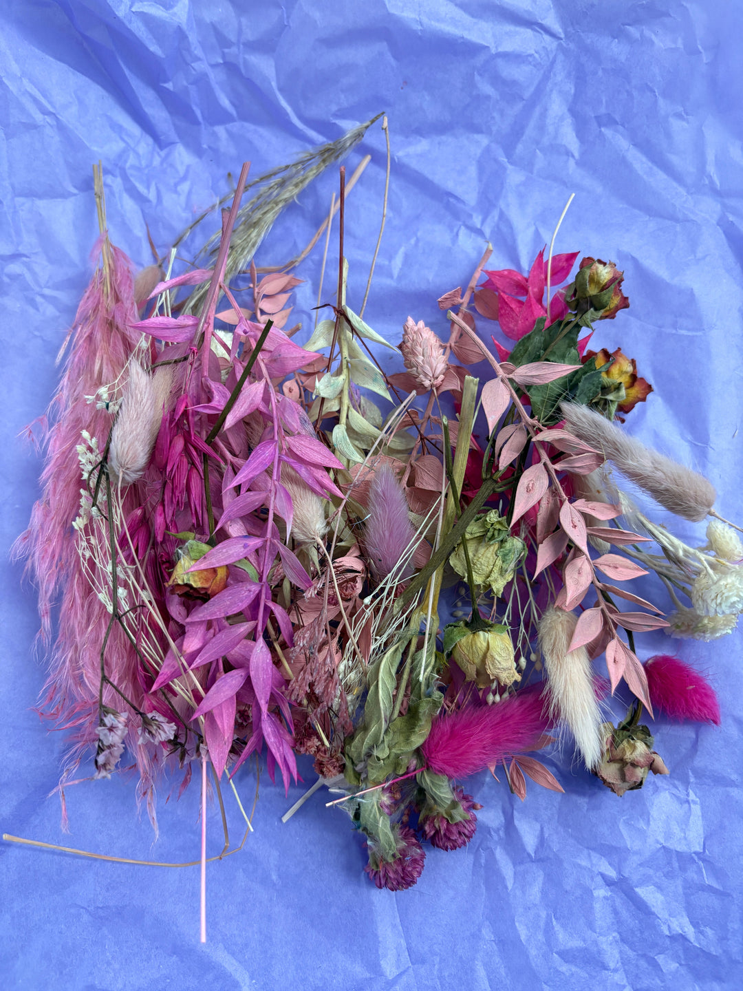 Offcut Dried Flowers - Pampas Tallo
