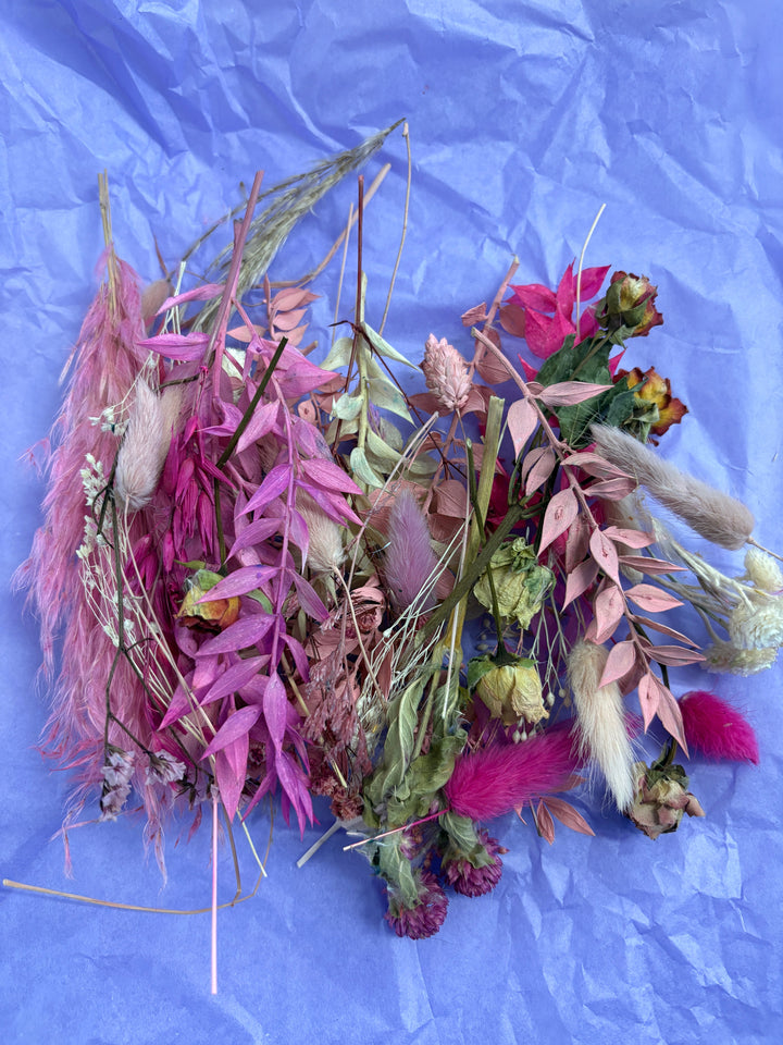 Offcut Dried Flowers - Pampas Tallo