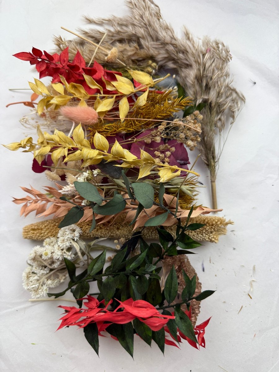Offcut Dried Flowers - Pampas Tallo