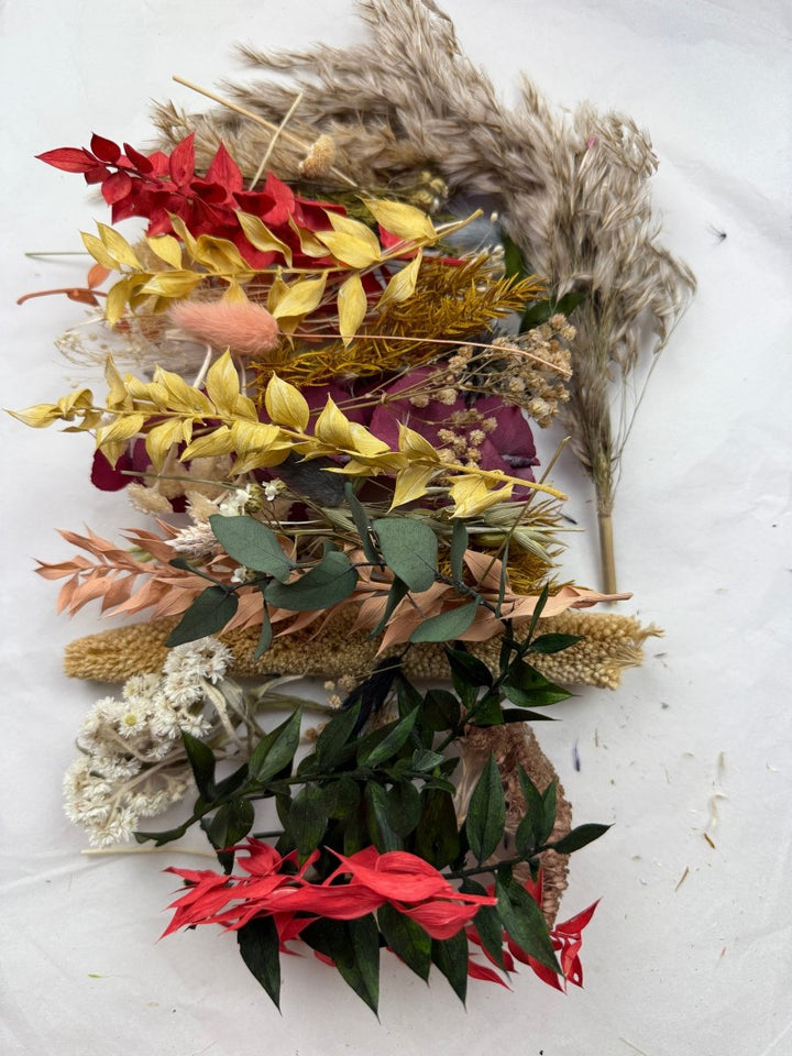 Offcut Dried Flowers - Pampas Tallo