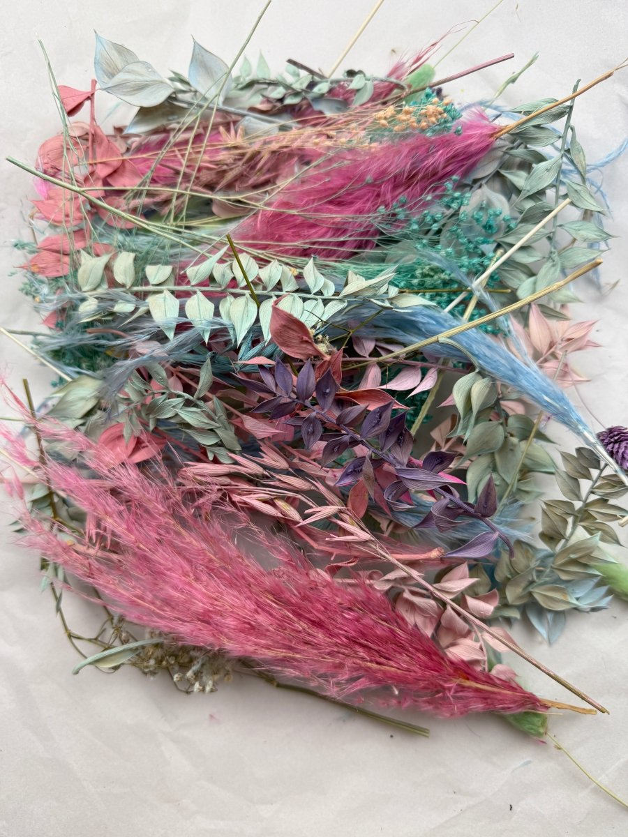 Offcut Dried Flowers - Pampas Tallo