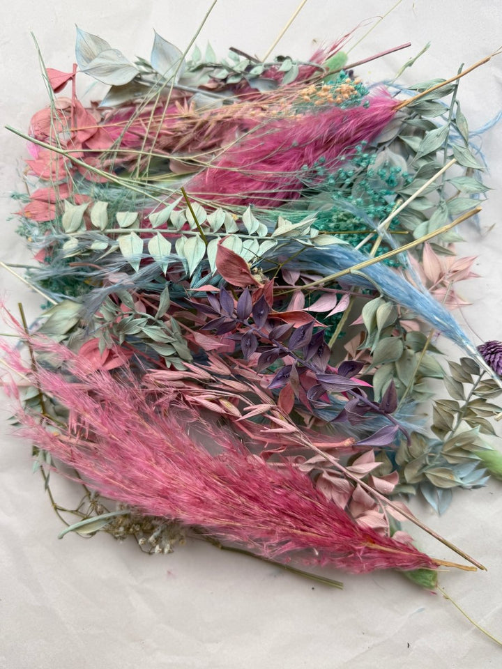 Offcut Dried Flowers - Pampas Tallo