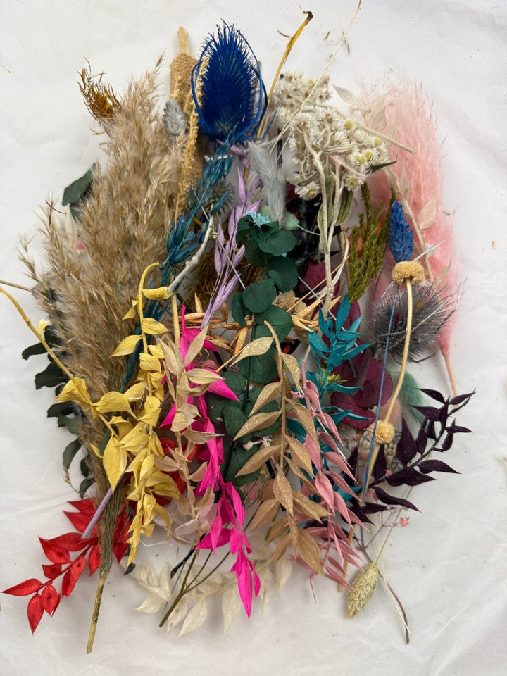 Offcut Dried Flowers - Pampas Tallo