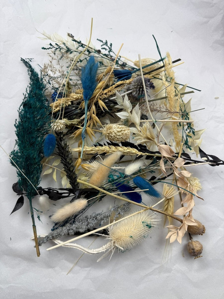 Offcut Dried Flowers - Pampas Tallo